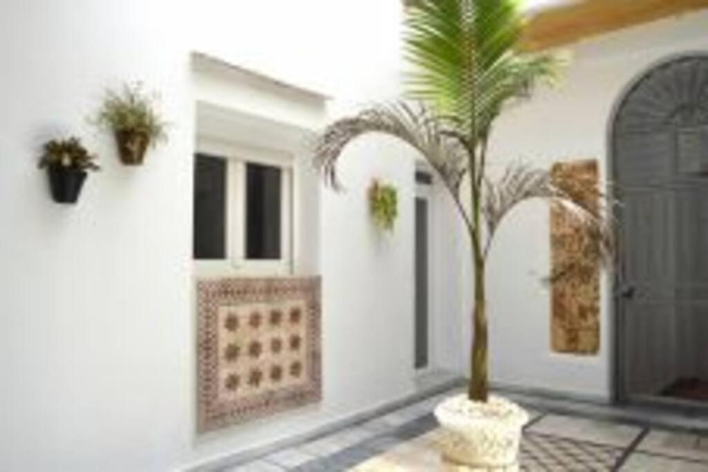 Apartamento Veedor 19 Dias Y Muchas Noches Cádiz Buitenkant foto